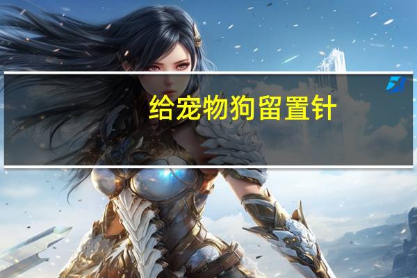 给宠物狗留置针