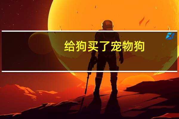 给狗买了宠物狗