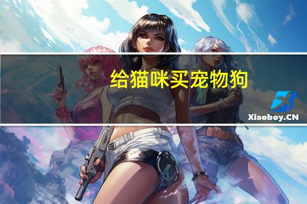 给猫咪买宠物狗