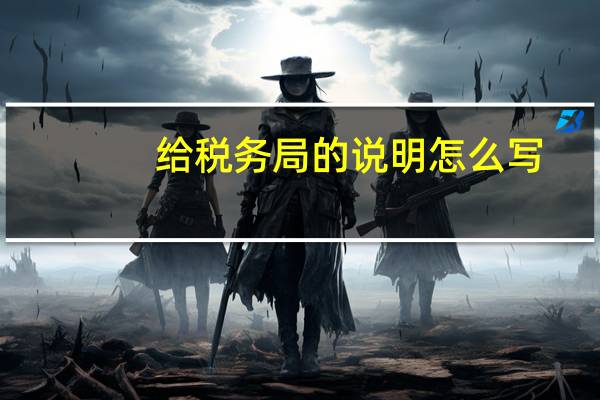 给税务局的说明怎么写