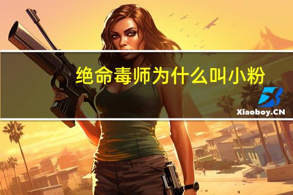绝命毒师为什么叫小粉