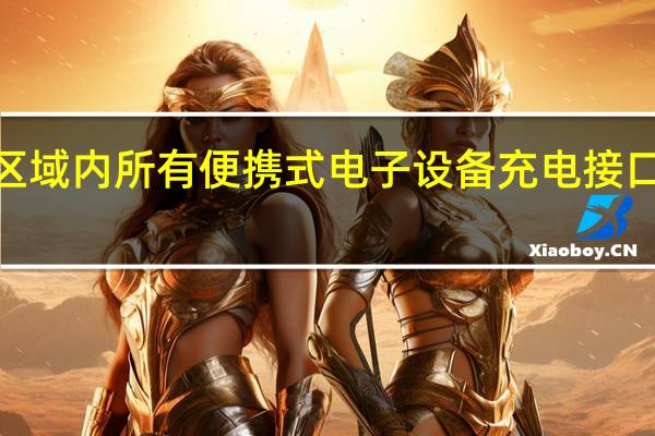 统一欧盟区域内所有便携式电子设备充电接口为USB TypeC