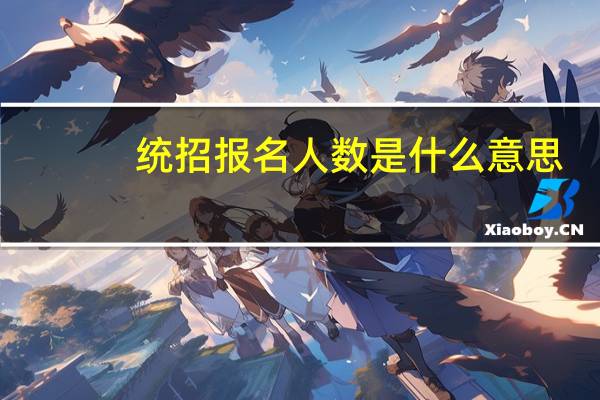 统招报名人数是什么意思