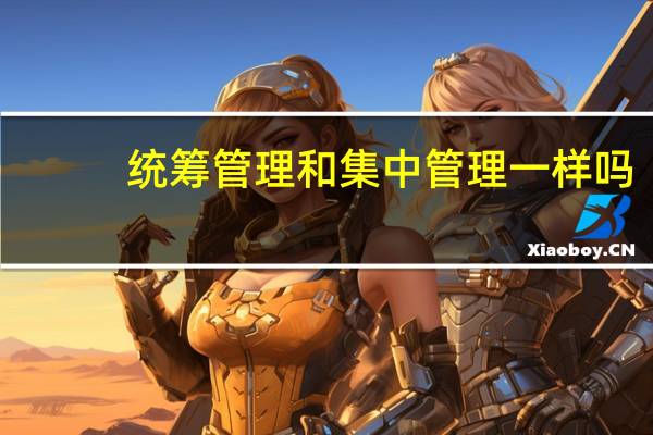 统筹管理和集中管理一样吗