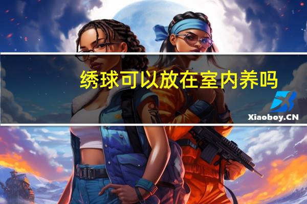 绣球可以放在室内养吗