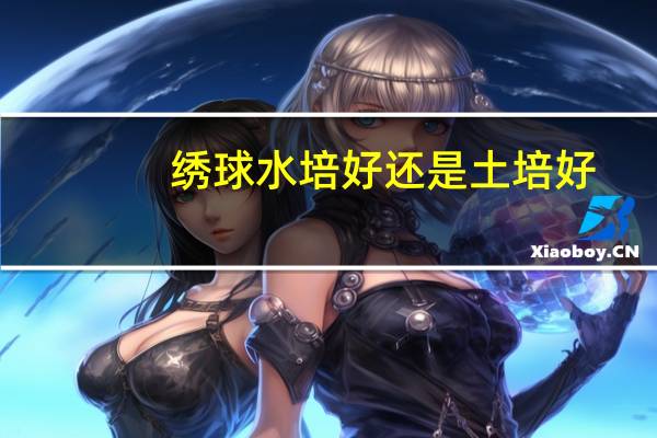 绣球水培好还是土培好