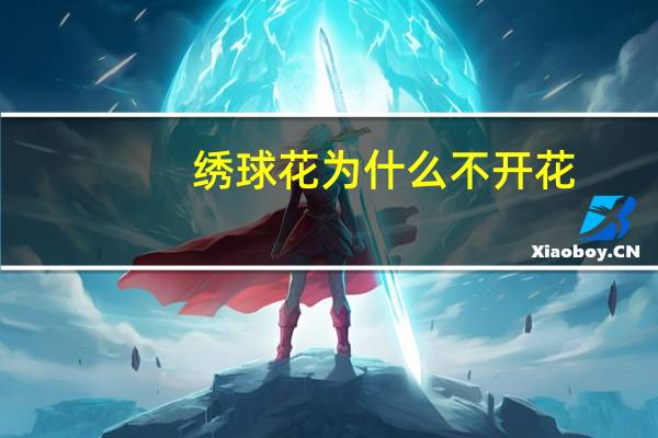 绣球花为什么不开花