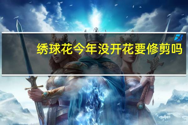绣球花今年没开花要修剪吗