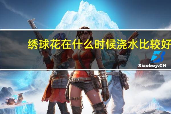 绣球花在什么时候浇水比较好