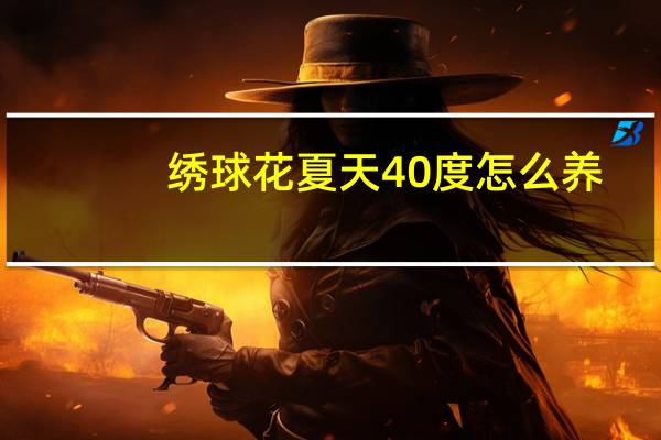 绣球花夏天40度怎么养