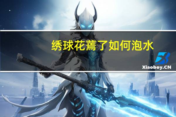 绣球花蔫了如何泡水