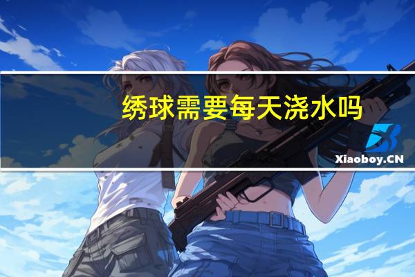 绣球需要每天浇水吗