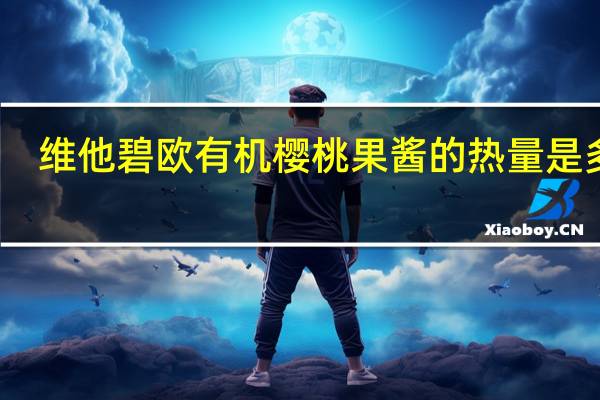 维他 碧欧有机樱桃果酱的热量是多少