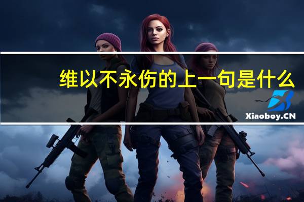 维以不永伤的上一句是什么