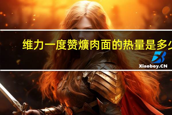 维力 一度赞 爌肉面的热量是多少
