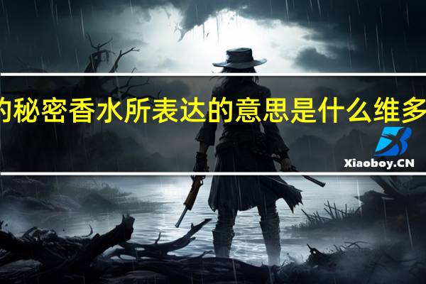 维多利亚的秘密香水所表达的意思是什么 维多利亚的秘密香水