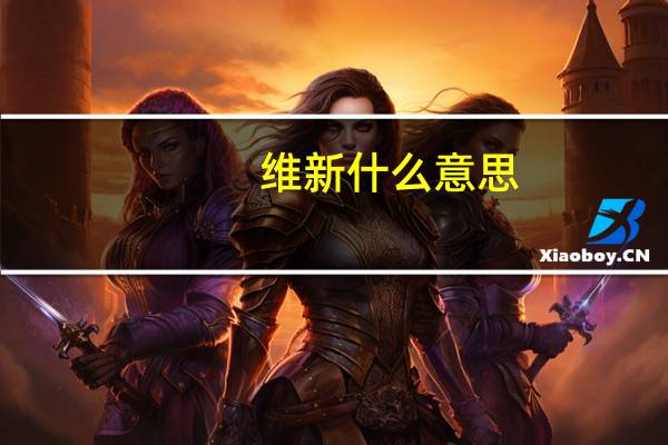 维新什么意思