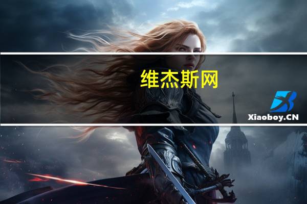 维杰斯网（维杰斯简介）