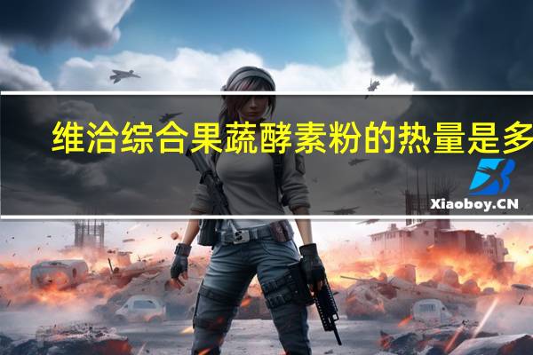 维洽 综合果蔬酵素粉的热量是多少
