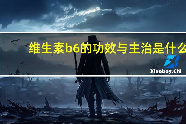 维生素b6的功效与主治是什么（维生素B6的功效及作用）