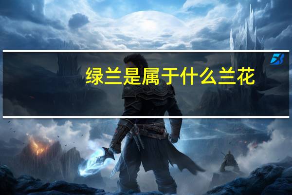绿兰是属于什么兰花