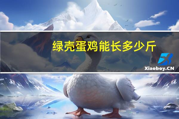 绿壳蛋鸡能长多少斤（绿壳蛋鸡多少钱一斤）