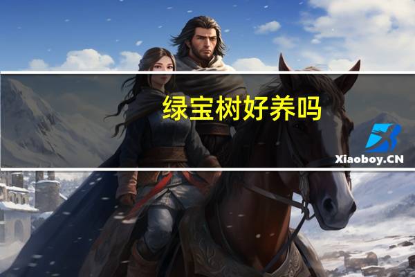绿宝树好养吗