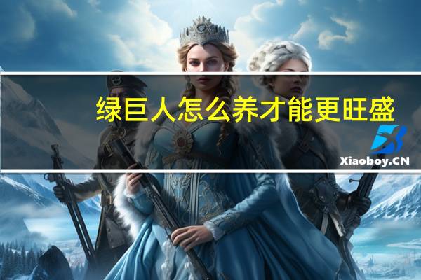 绿巨人怎么养才能更旺盛