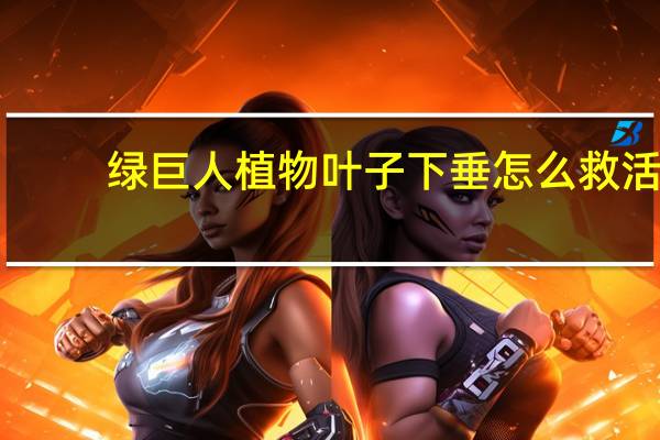 绿巨人植物叶子下垂怎么救活