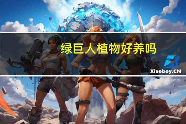 绿巨人植物好养吗