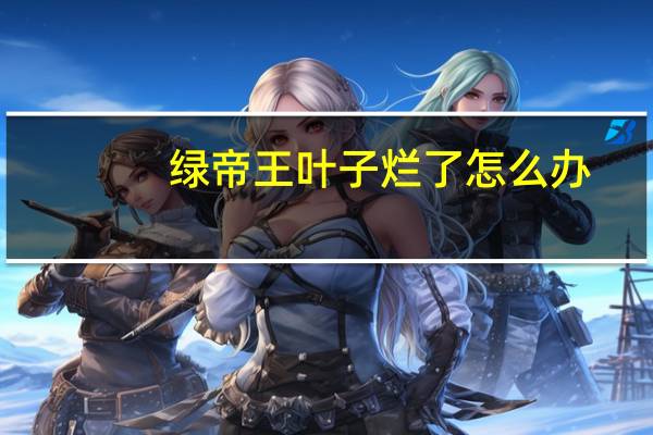 绿帝王叶子烂了怎么办