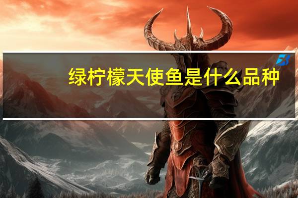 绿柠檬天使鱼是什么品种