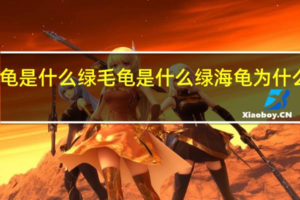 绿毛龟是什么绿毛龟是什么 绿海龟为什么叫绿海龟