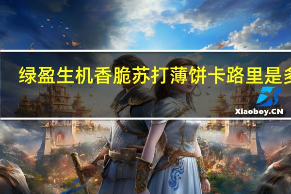 绿盈生机 香脆苏打薄饼卡路里是多少