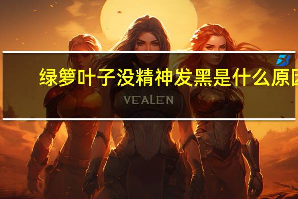绿箩叶子没精神发黑是什么原因
