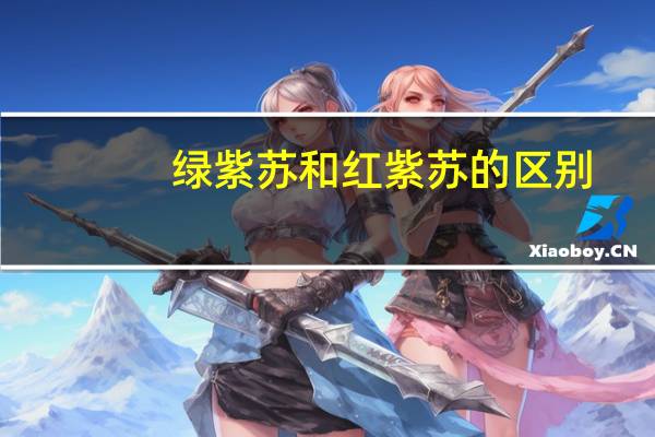绿紫苏和红紫苏的区别