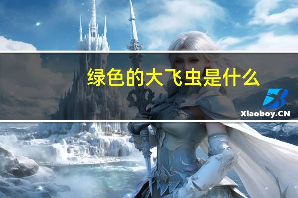 绿色的大飞虫是什么