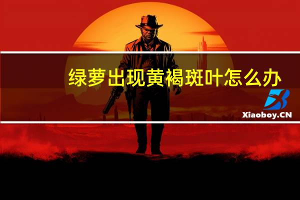 绿萝出现黄褐斑叶怎么办