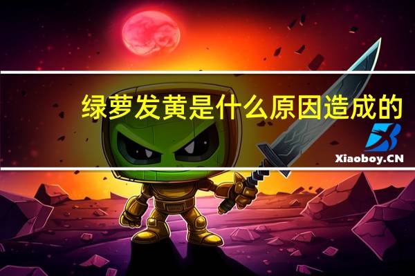 绿萝发黄是什么原因造成的