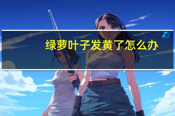 绿萝叶子发黄了怎么办