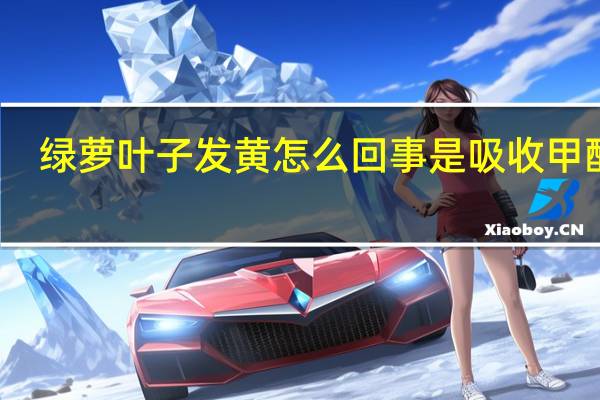 绿萝叶子发黄怎么回事是吸收甲醛吗