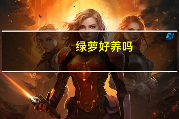 绿萝好养吗