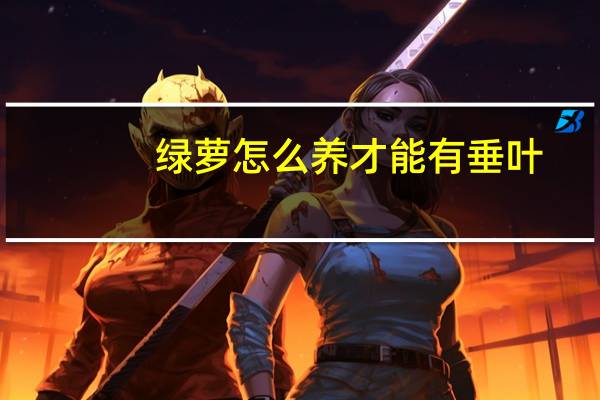 绿萝怎么养才能有垂叶