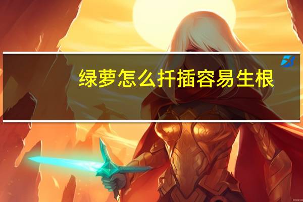 绿萝怎么扦插容易生根