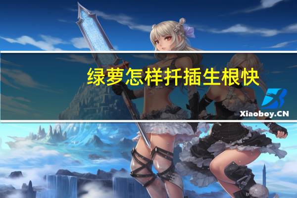 绿萝怎样扦插生根快