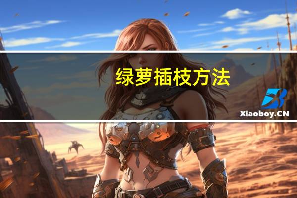 绿萝插枝方法