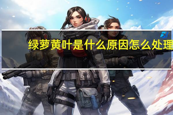 绿萝黄叶是什么原因怎么处理