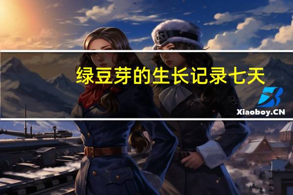 绿豆芽的生长记录七天