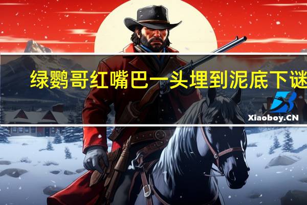 绿鹦哥红嘴巴一头埋到泥底下谜底