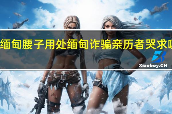缅甸腰子用处 缅甸诈骗亲历者哭求嘎腰子